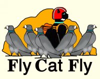 Fly Cat Fly - Sample Website from 1 Website Designer company in Aude, South France