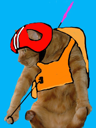 Cat Parachuting